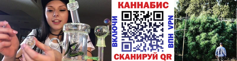 как найти   Ленинск-Кузнецкий  Бошки марихуана тримм 